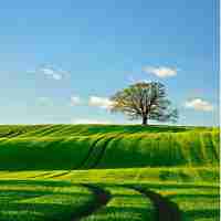 大﻿学﻿ai专‌业‌